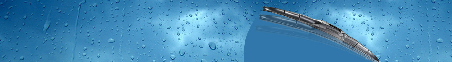 延安宸之卓汽车服务有限责任公司